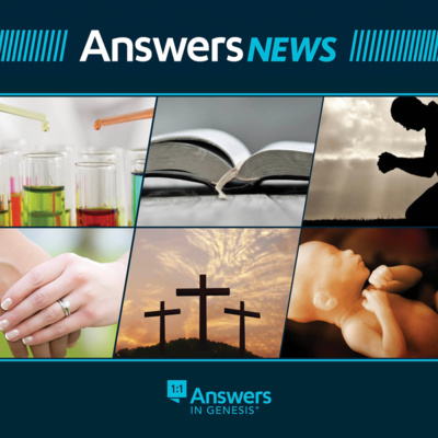 Answers News